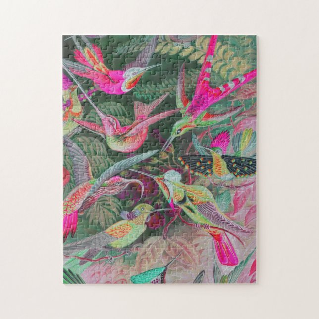 Vintag Haeckel Hummingbirds (Vertikal)