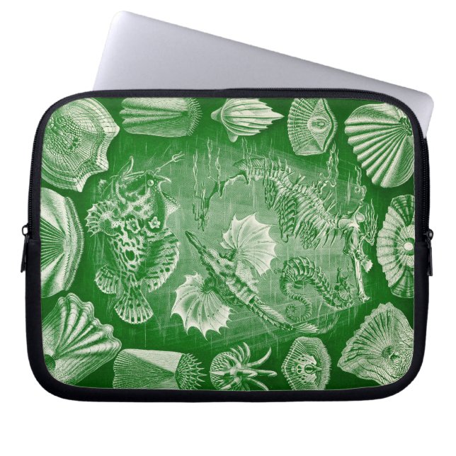 Vintag Haeckel Laptopschutzhülle (Vorderseite)