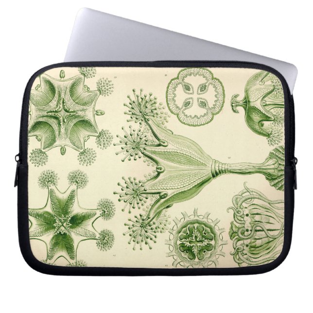 Vintag Haeckel Laptopschutzhülle (Vorderseite)