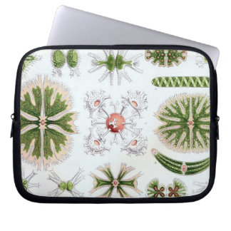 Vintag Haeckel Laptopschutzhülle