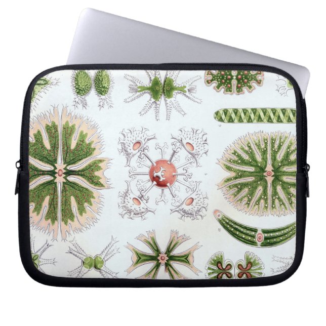 Vintag Haeckel Laptopschutzhülle (Vorderseite)