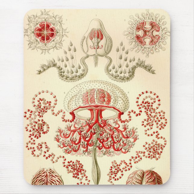 Vintag Haeckel Mousepad (Vorne)