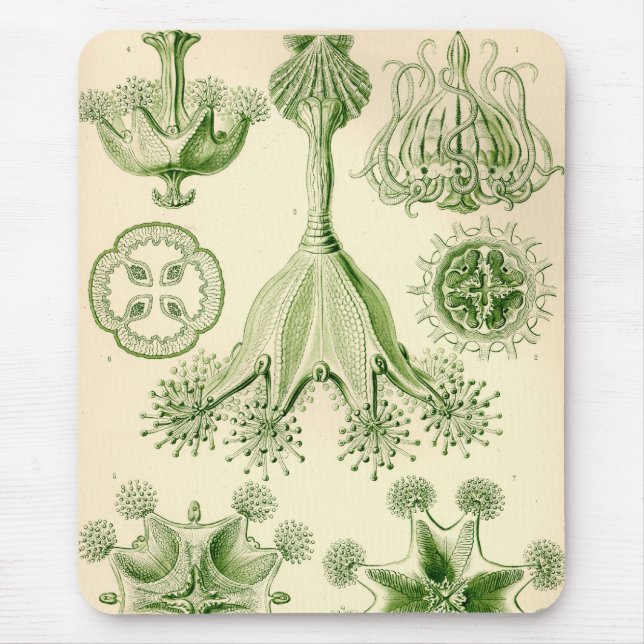 Vintag Haeckel Mousepad (Vorne)