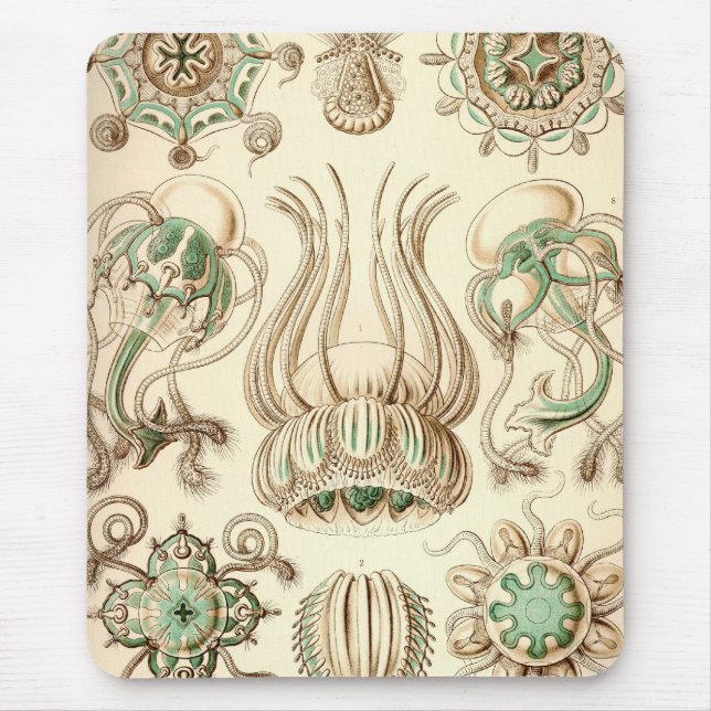 Vintag Haeckel Mousepad (Vorne)
