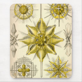 Vintag Haeckel Mousepad