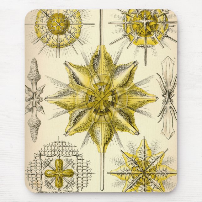 Vintag Haeckel Mousepad (Vorne)