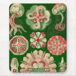 Vintag Haeckel Mousepad