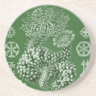 Vintag Haeckel Sandstein Untersetzer