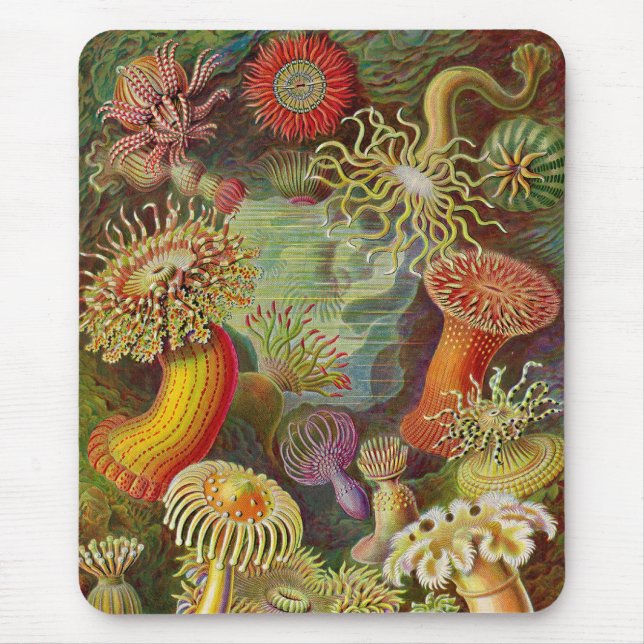 Vintag Haeckel Sea Anemone Mousepad (Vorne)