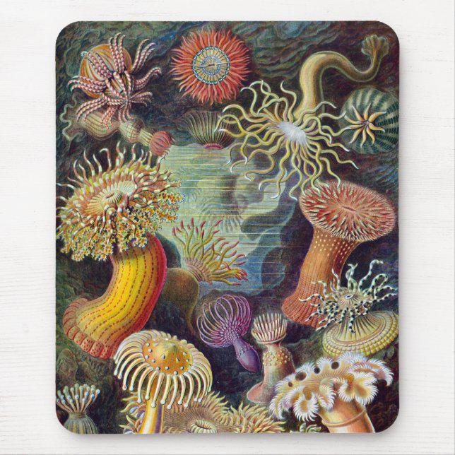 Vintag Haeckel Sea Anemone Mousepad (Vorne)
