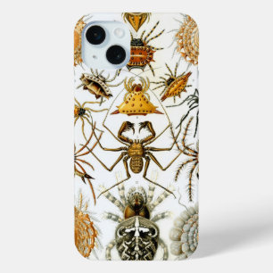 Vintag Haeckel Spiders iPhone 15 Mini Hülle