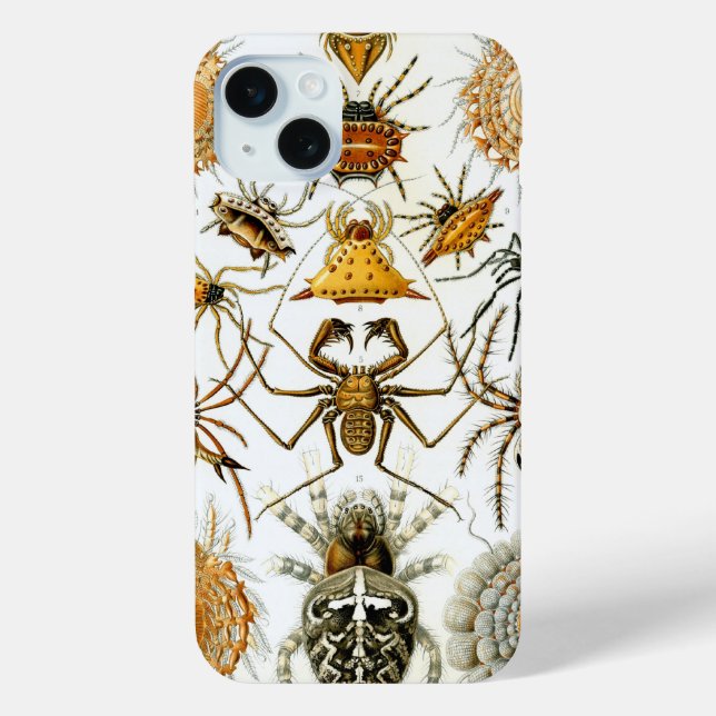 Vintag Haeckel Spiders iPhone 15 Mini Hülle (Rückseite)