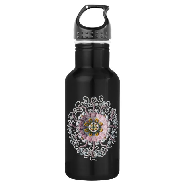 Vintag Haeckel Trinkflasche (Vorderseite)