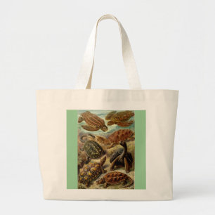 Vintag Haeckel Turtles Jumbo Stoffbeutel