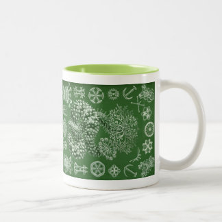 Vintag Haeckel Zweifarbige Tasse