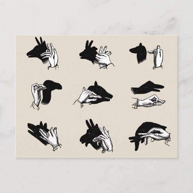 Vintag Hand Puppet Shadow Games Postkarte (Vorderseite)
