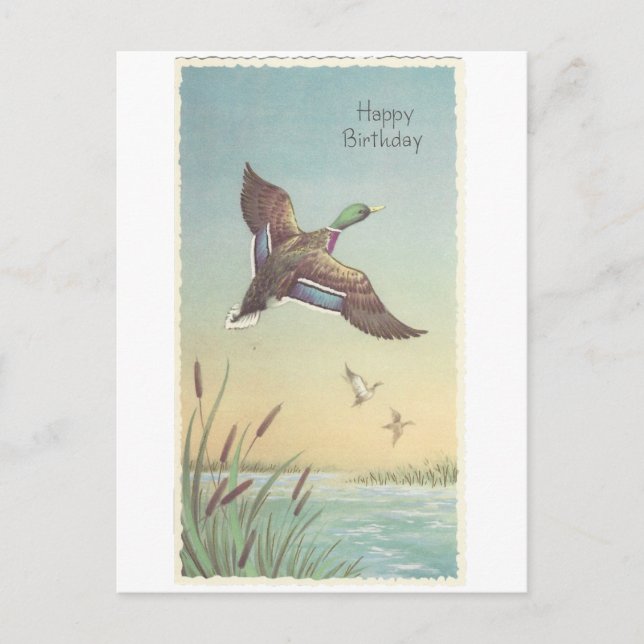 Vintag Happy Birthday Mallard Postkarte (Vorderseite)