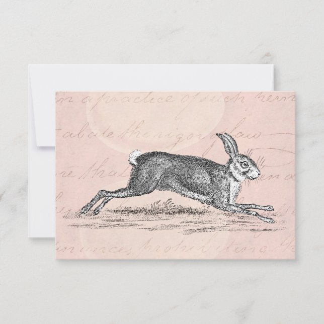 Vintag Hare Bunny Rabbit Illustration - Kaninchen (Vorderseite)