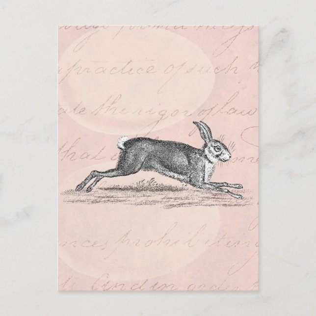 Vintag Hare Bunny Rabbit Illustration - Kaninchen Postkarte (Vorderseite)