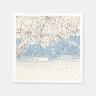 Vintag Hempstead Long Beach Long Island New York Serviette