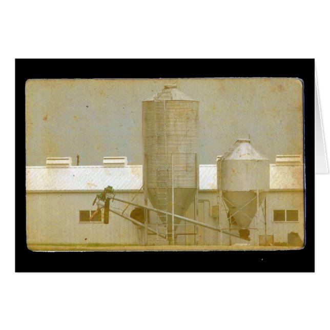 Vintag Hog Barn (Vorderseite (Horizontal))