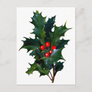 Vintag Holly Postkarte