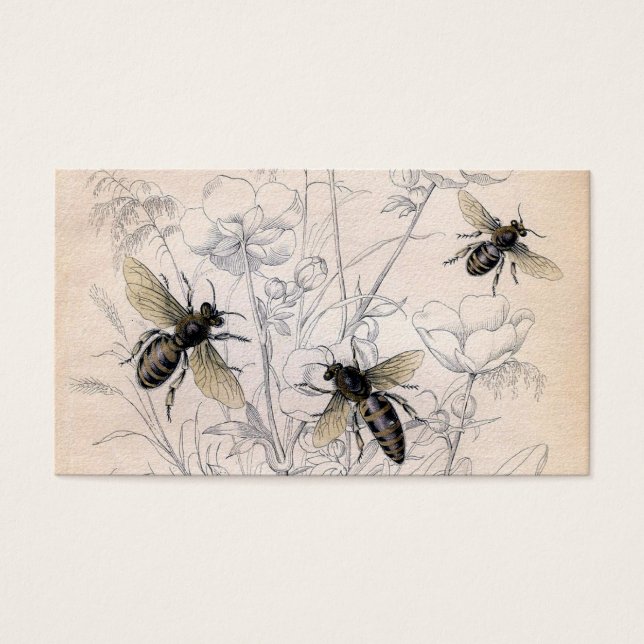 Vintag Honey Bee Art Print (Vorderseite)