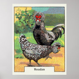 Vintag Houdan Chicken Poster