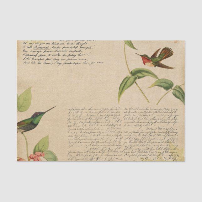 Vintag Hummingbird Ephemera Seidenpapier (Vorderseite)