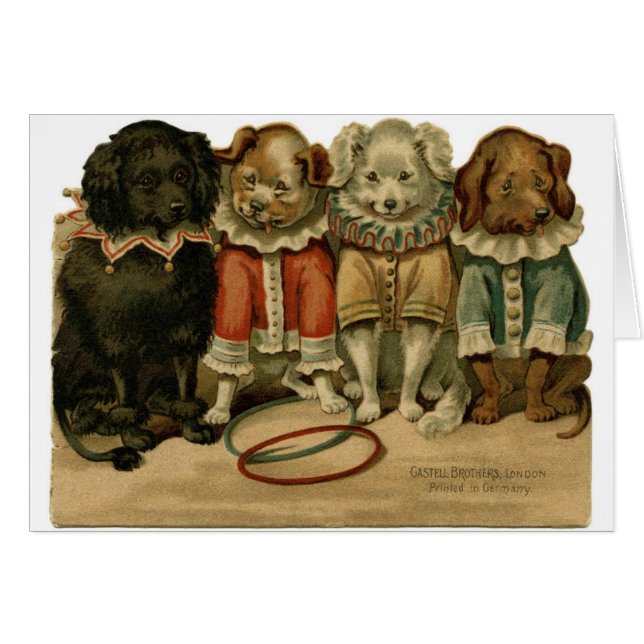 Vintag - Hunde in den Clown-Anzügen, (Vorderseite (Horizontal))