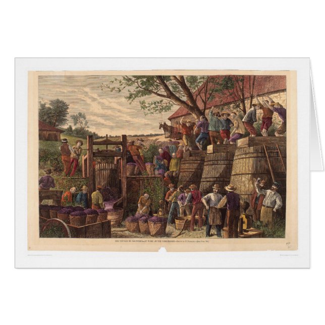 Vintag in Kalifornien (0604A) (Vorderseite (Horizontal))