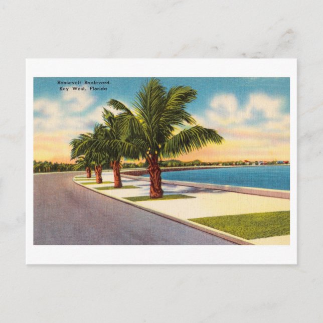 Vintag Key West Florida Roosevelt Blvd Postkarte (Vorderseite)