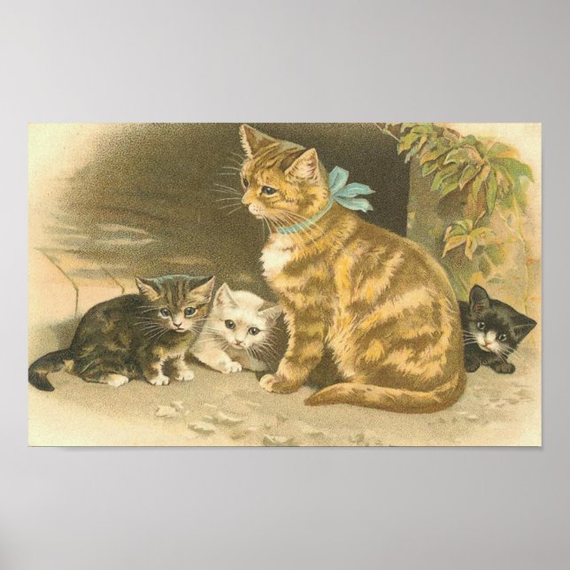 Vintag Kitten Poster (Vorne)