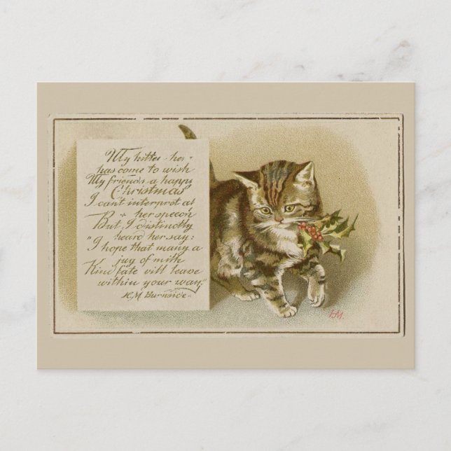 Vintag Kitten Weihnachten Postkarte (Vorderseite)