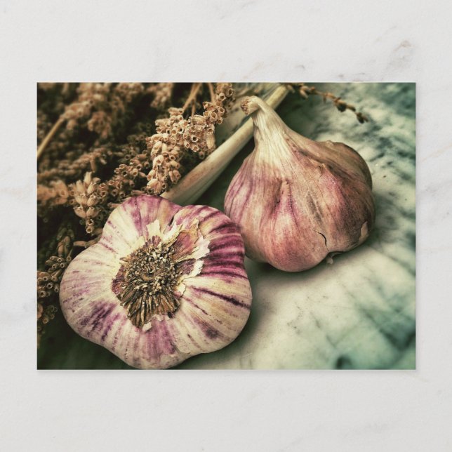 Vintag Knoblauch Postkarte (Vorderseite)