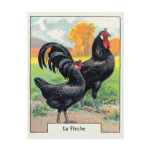 Vintag La Fleche Chicken