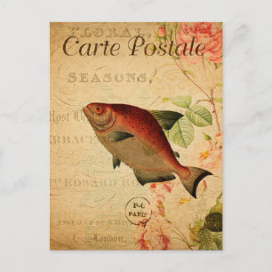 Vintag Lachs Karpfen Typ Fisch Blütenfranzösisch Postkarte