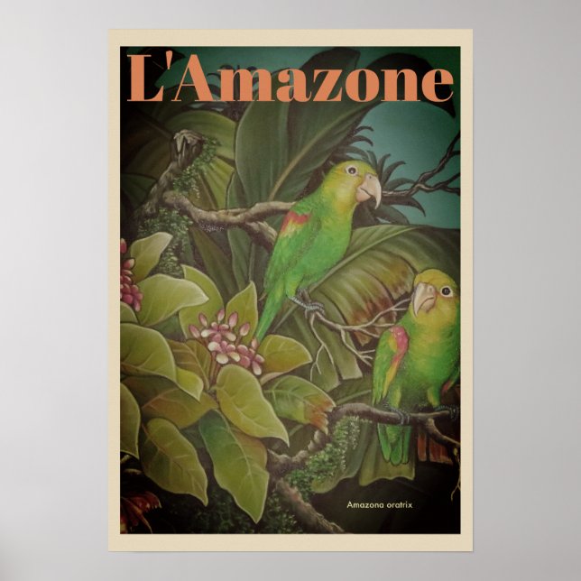 Vintag L'Amazone Travel Poster (Vorne)