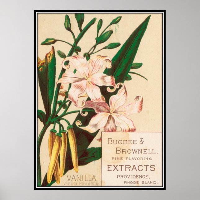 Vintag: Lebensmittelwerbung - Poster (Vorne)