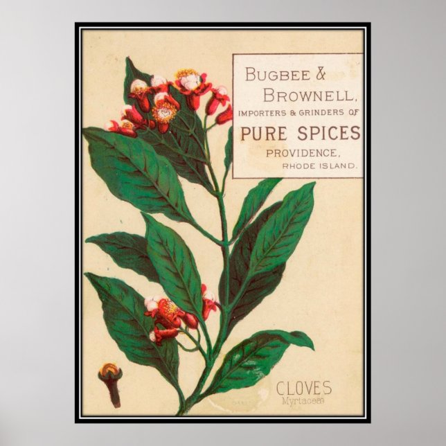 Vintag: Lebensmittelwerbung - Poster (Vorne)