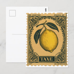 Vintag Lemon Botanisches Obst Postkarte