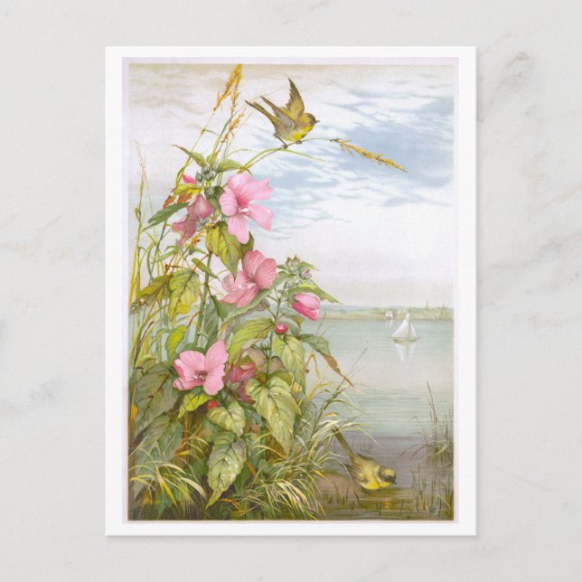 Vintag Lithograph Marsh Mallow with Bird Postkarte (Vorderseite)