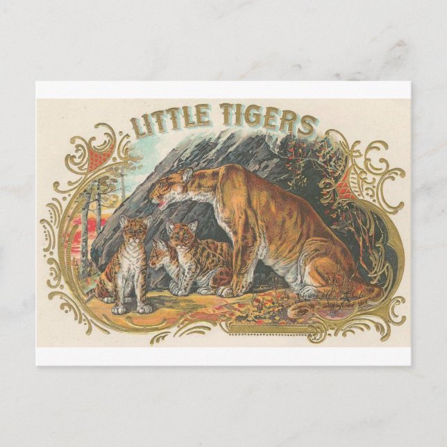 Vintag Little Tigers Postkarte (Vorderseite)