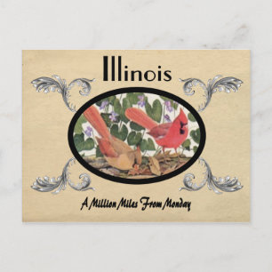 Vintag Look Old Postcard Illinois Staat Postkarte
