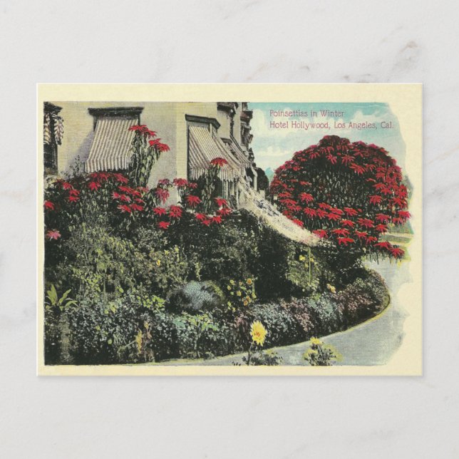 Vintag Los Angeles Kalifornien Postkarte (Vorderseite)