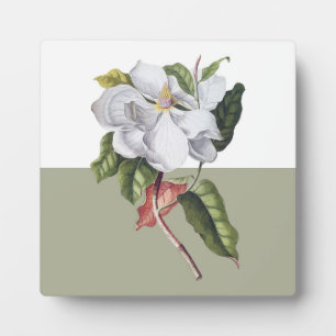 Vintag Magnolia Blossom Colorblock Fotoplatte