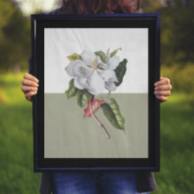 Vintag Magnolia Blossom Colorblock