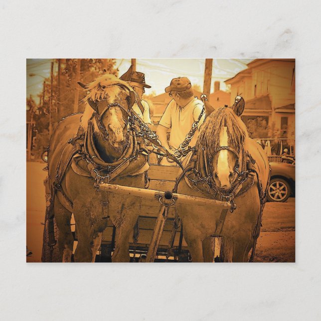 Vintag Maine Postkarte (Vorderseite)