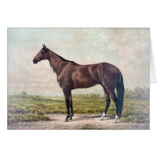 Vintag - majestätisches Rennen-Pferd,