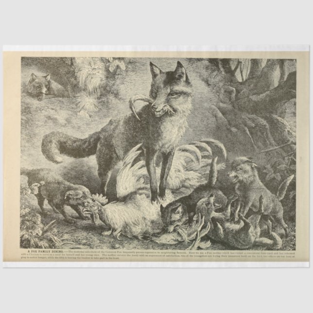 Vintag Mama Fox Ephemera Decoupage Seidenpapier (Vorderseite)